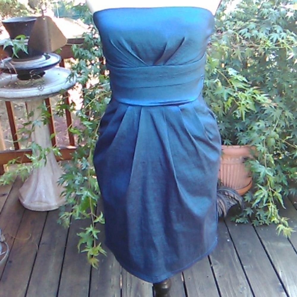 Poetry Clothing Dressy Strapless Dress